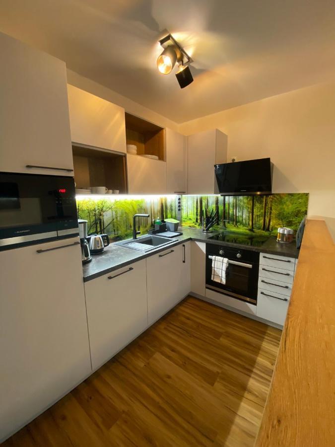 Barrierefreies Ferienapartment A2 Villa Wilisch 55Qm Amtsberg المظهر الخارجي الصورة